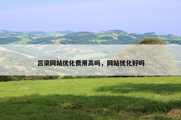 吕梁网站优化费用高吗，网站优化好吗