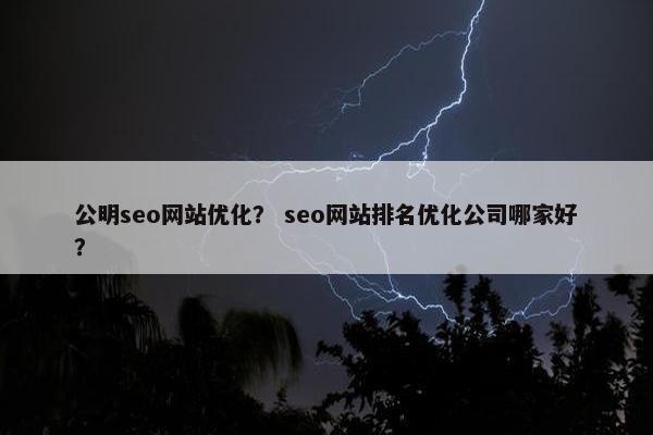 公明seo网站优化？ seo网站排名优化公司哪家好？