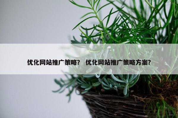 优化网站推广策略？ 优化网站推广策略方案？
