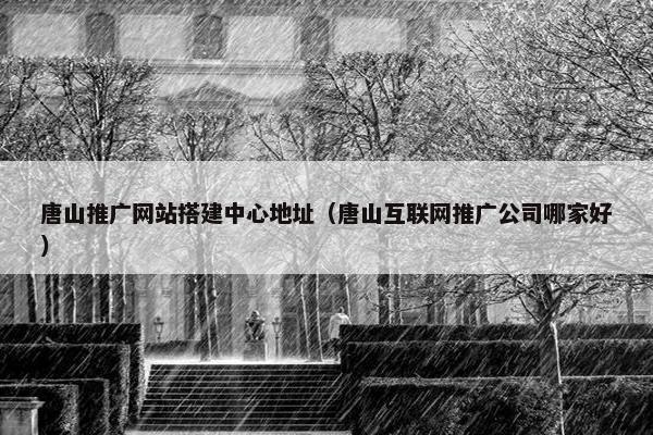 唐山推广网站搭建中心地址（唐山互联网推广公司哪家好）