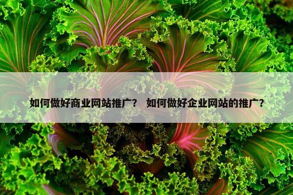 如何做好商业网站推广？ 如何做好企业网站的推广？