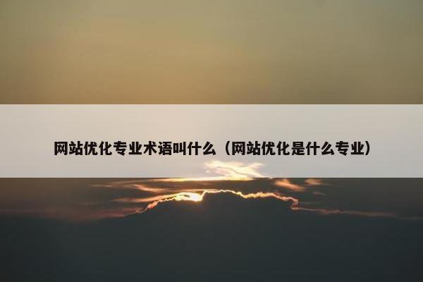 网站优化专业术语叫什么（网站优化是什么专业）