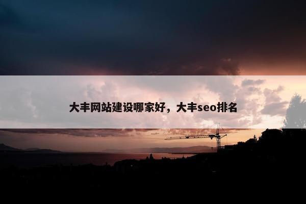 大丰网站建设哪家好,大丰seo排名 大丰网站建设哪家好,大丰seo排名