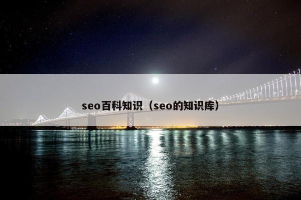 seo百科知识（seo的知识库）