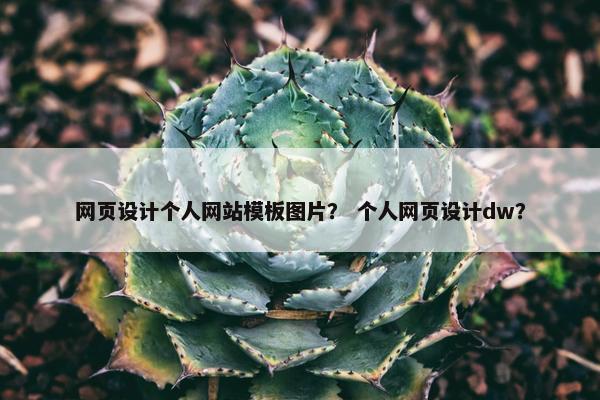 网页设计个人网站模板图片？ 个人网页设计dw？