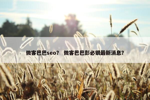 微客巴巴seo？ 微客巴巴彭必银最新消息？