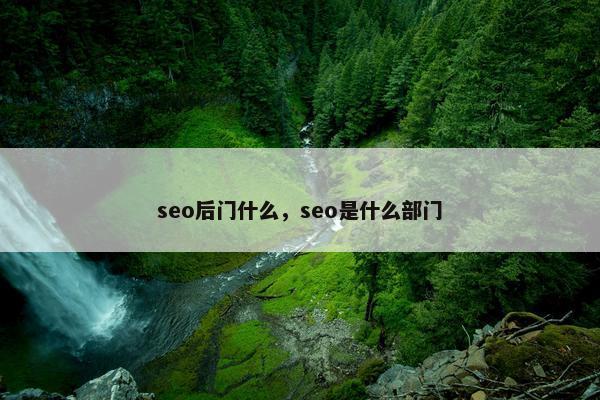 seo后门什么，seo是什么部门