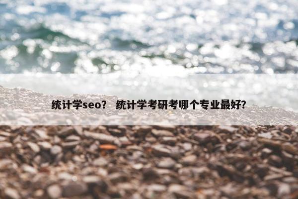 统计学seo？ 统计学考研考哪个专业最好？