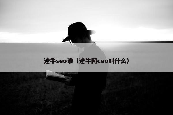 途牛seo谁（途牛网ceo叫什么）
