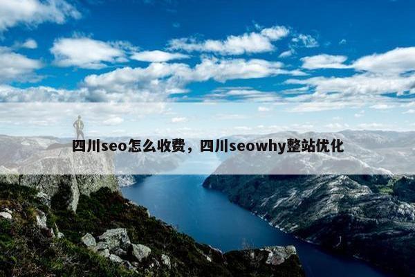 四川seo怎么收费，四川seowhy整站优化