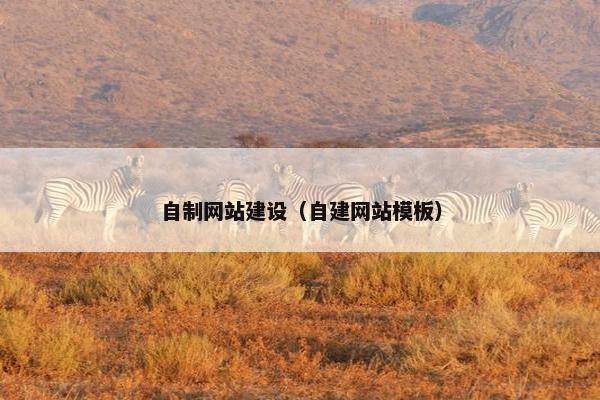 自制网站建设（自建网站模板）
