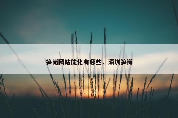 笋岗网站优化有哪些，深圳笋岗