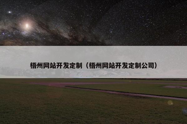 梧州网站开发定制（梧州网站开发定制公司）