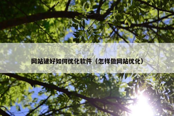 网站建好如何优化软件（怎样做网站优化）