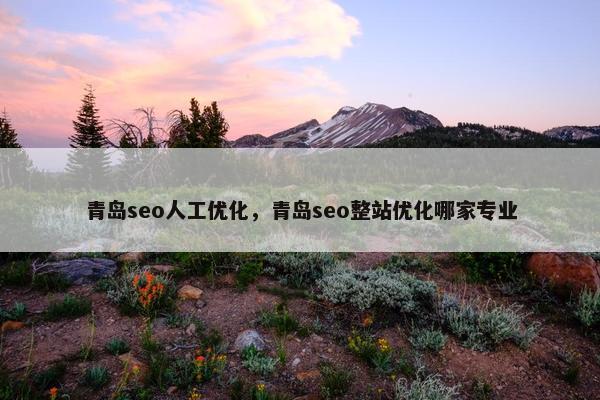 青岛seo人工优化，青岛seo整站优化哪家专业