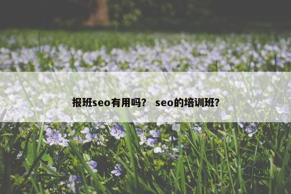 报班seo有用吗？ seo的培训班？