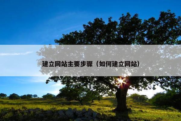 建立网站主要步骤（如何建立网站）