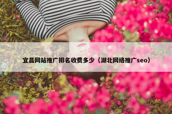 宜昌网站推广排名收费多少（湖北网络推广seo）
