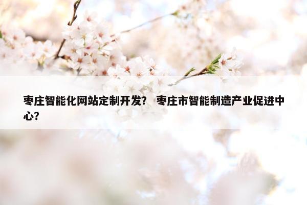 枣庄智能化网站定制开发？ 枣庄市智能制造产业促进中心？
