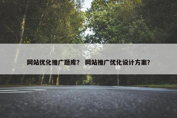 网站优化推广题库？ 网站推广优化设计方案？
