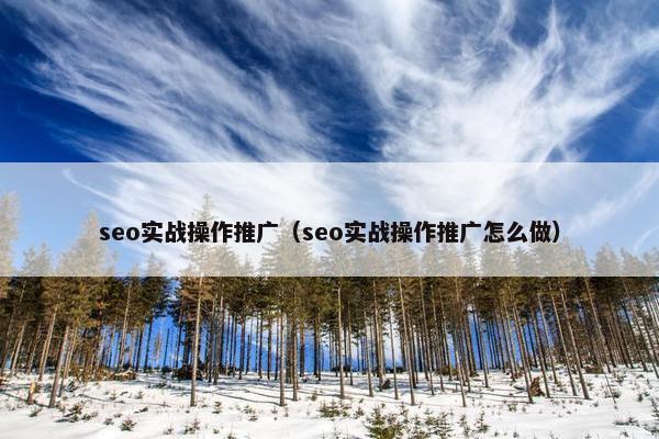 seo实战操作推广（seo实战操作推广怎么做）