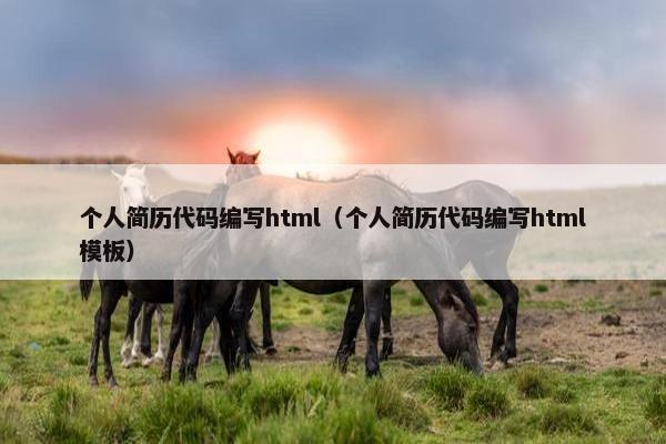 个人简历代码编写html（个人简历代码编写html模板）