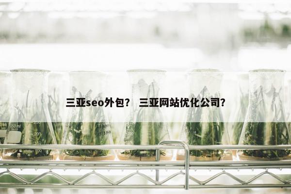 三亚seo外包？ 三亚网站优化公司？