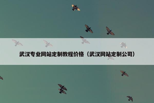 武汉专业网站定制教程价格（武汉网站定制公司）