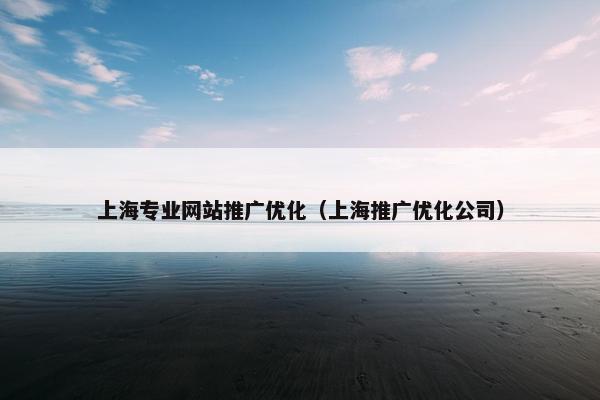 上海专业网站推广优化(上海推广优化公司) 上海专业网站推广优化(上海推广优化公司)