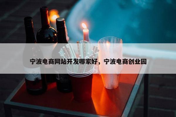 宁波电商网站开发哪家好，宁波电商创业园