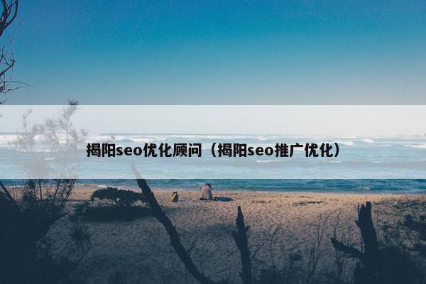 揭阳seo优化顾问（揭阳seo推广优化）
