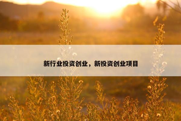 新行业投资创业，新投资创业项目