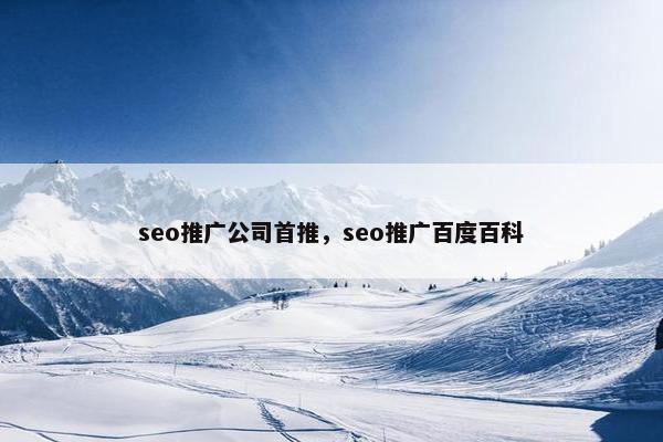 seo推广公司首推，seo推广百度百科