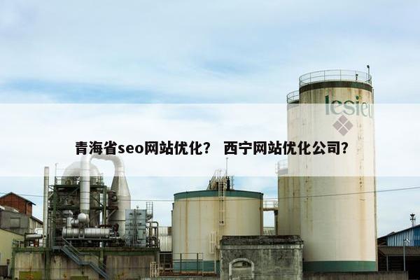 青海省seo网站优化？ 西宁网站优化公司？