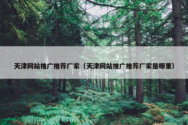 天津网站推广推荐厂家(天津网站推广推荐厂家是哪里) 天津网站推广推荐厂家(天津网站推广推荐厂家是哪里)