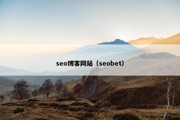 seo博客网站（seobet）