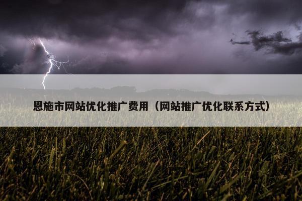 恩施市网站优化推广费用（网站推广优化联系方式）