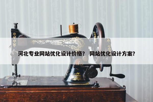 河北专业网站优化设计价格？ 网站优化设计方案？