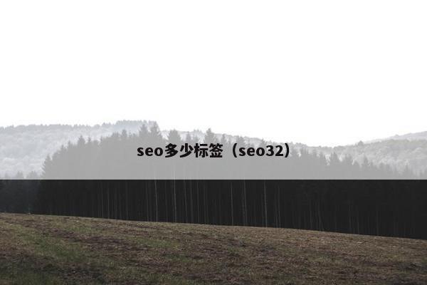 seo多少标签（seo32）
