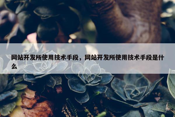 网站开发所使用技术手段，网站开发所使用技术手段是什么
