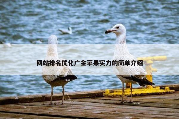 网站排名优化广金苹果实力的简单介绍