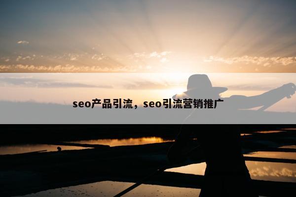 seo产品引流，seo引流营销推广