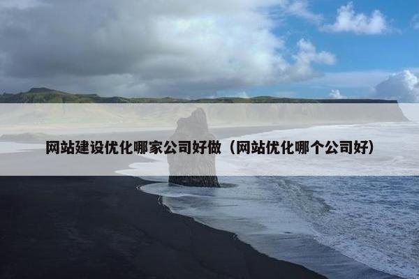 网站建设优化哪家公司好做（网站优化哪个公司好）