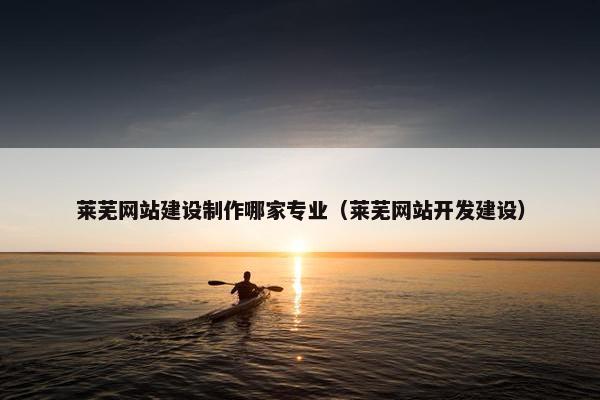 莱芜网站建设制作哪家专业（莱芜网站开发建设）