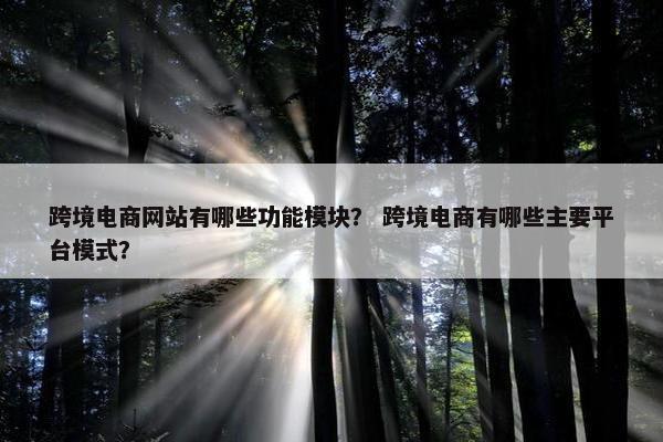 跨境电商网站有哪些功能模块？ 跨境电商有哪些主要平台模式？