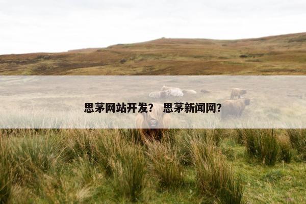 思茅网站开发？ 思茅新闻网？