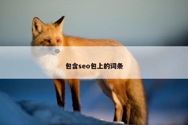 包含seo包上的词条 包含seo包上的词条