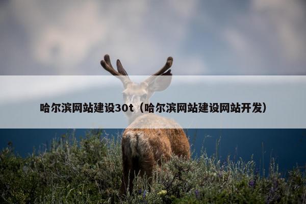 哈尔滨网站建设30t（哈尔滨网站建设网站开发）