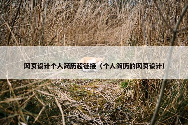 网页设计个人简历超链接（个人简历的网页设计）