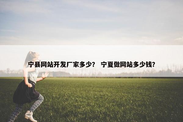 宁县网站开发厂家多少？ 宁夏做网站多少钱？